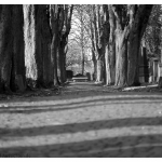 Der Weg zur Ruhe