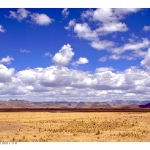Altiplano II