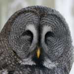 Vogelpark