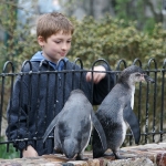 Vogelpark
