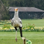 Vogelpark
