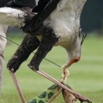 Vogelpark