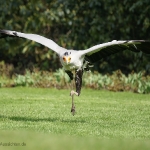 Vogelpark