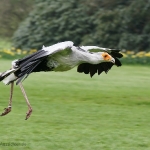 Vogelpark