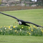 Vogelpark