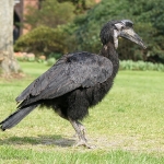 Vogelpark