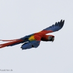 Vogelpark