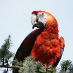 Vogelpark