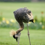 Vogelpark