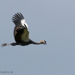 Vogelpark