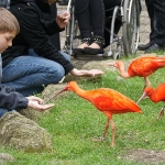 Vogelpark