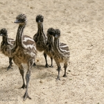 Vogelpark