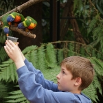 Vogelpark