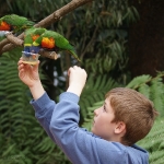 Vogelpark