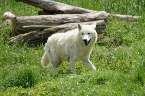 Unterwegs auf dem Hunrück